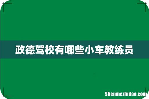 政德驾校有哪些小车教练员