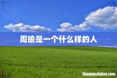 周瑜是一个什么样的人