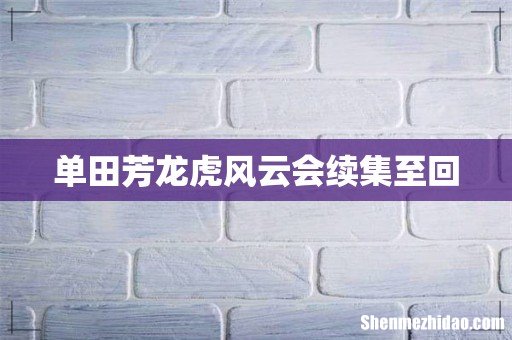 单田芳龙虎风云会续集至回