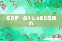 司青罗一是什么电视剧里面的