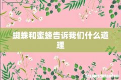 蜘蛛和蜜蜂告诉我们什么道理