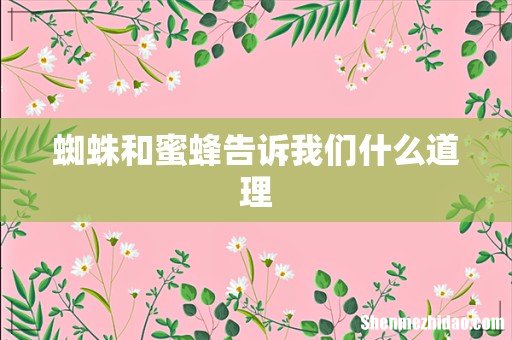 蜘蛛和蜜蜂告诉我们什么道理