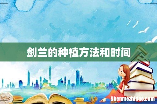 剑兰的种植方法和时间