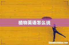 植物英语怎么说
