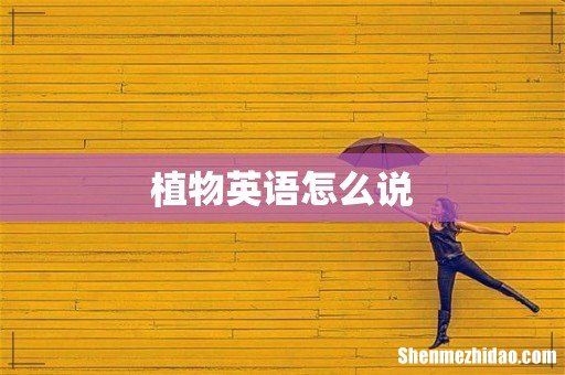 植物英语怎么说