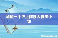 加盟一个沪上阿姨大概多少钱