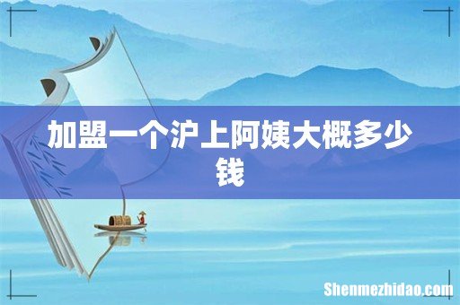 加盟一个沪上阿姨大概多少钱