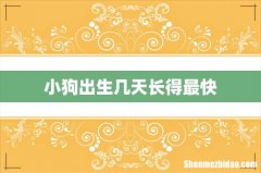 小狗出生几天长得最快