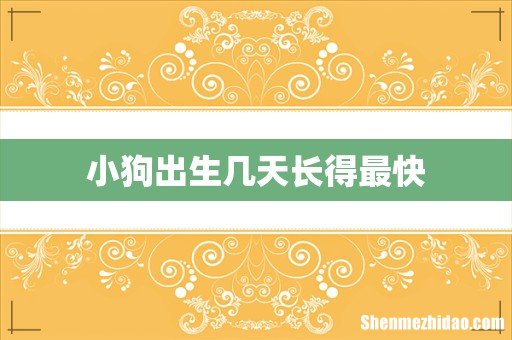 小狗出生几天长得最快