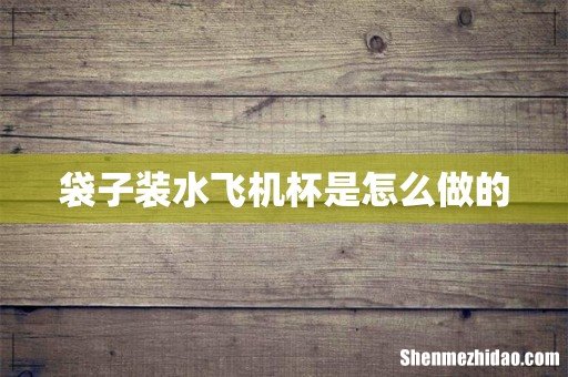袋子装水飞机杯是怎么做的
