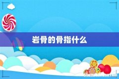 岩骨的骨指什么
