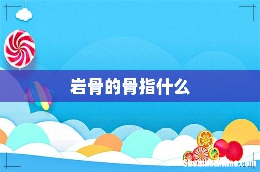 岩骨的骨指什么