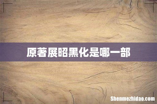 原著展昭黑化是哪一部