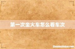 第一次坐火车怎么看车次