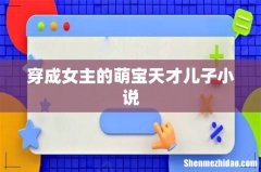 穿成女主的萌宝天才儿子小说