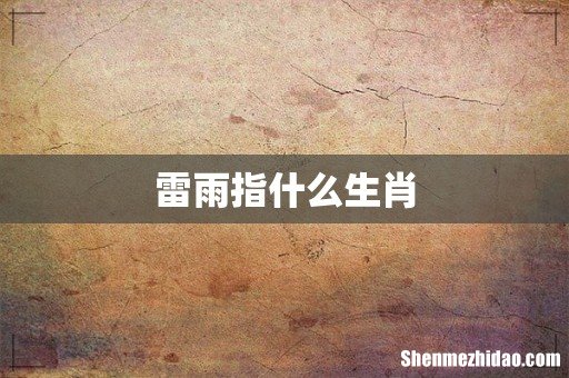 雷雨指什么生肖