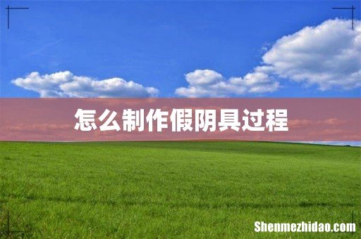 怎么制作假阴具过程