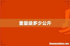 重量级多少公斤