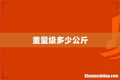 重量级多少公斤