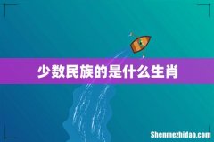 少数民族的是什么生肖