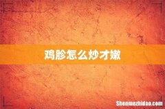 鸡胗怎么炒才嫩