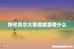 呼伦贝尔大草原旅游带什么