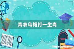 青衣乌帽打一生肖