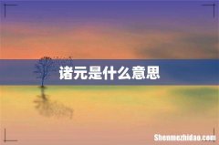 诸元是什么意思