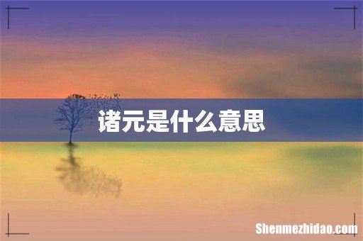 诸元是什么意思