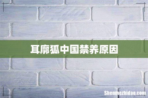 耳廓狐中国禁养原因