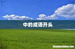 中的成语开头