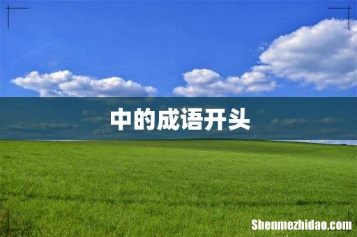 中的成语开头