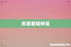 志愿者精神是