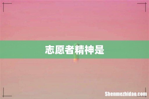 志愿者精神是