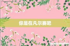 你是在凡尔赛吧