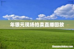 年银元现场拍卖直播回放