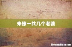 朱棣一共几个老婆