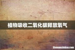 植物吸收二氧化碳释放氧气