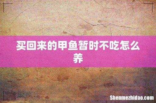 买回来的甲鱼暂时不吃怎么养