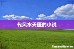 代风水天医的小说