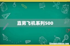 直男飞机系列500