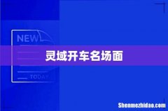 灵域开车名场面