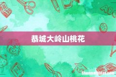 恭城大岭山桃花
