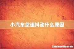 小汽车怠速抖动什么原因