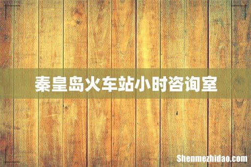 秦皇岛火车站小时咨询室