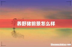 养野猪前景怎么样