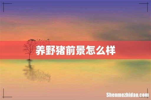 养野猪前景怎么样
