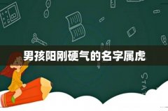 男孩阳刚硬气的名字属虎