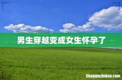 男生穿越变成女生怀孕了