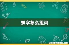蛛字怎么组词